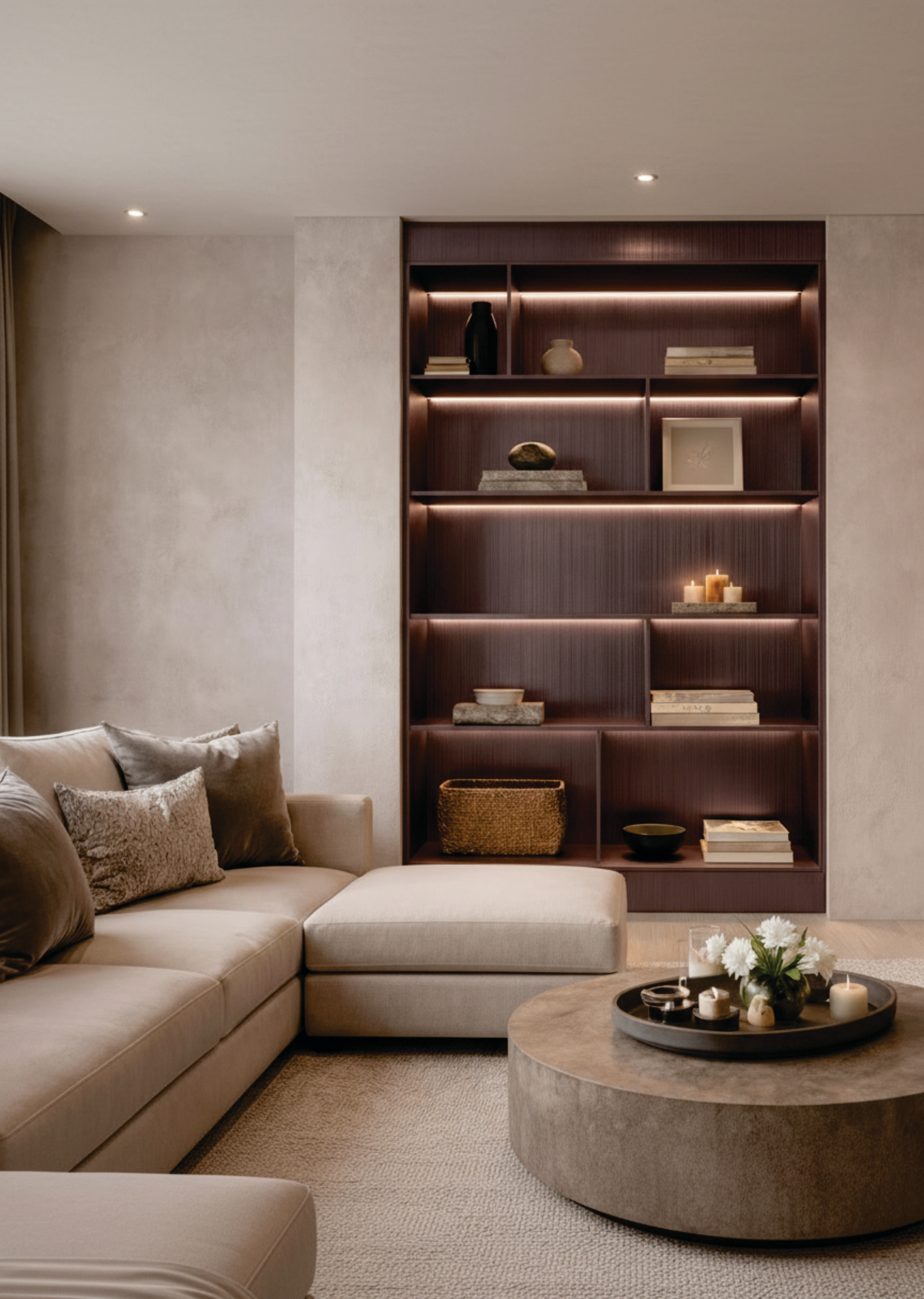 Living Room Shelf Modern Design